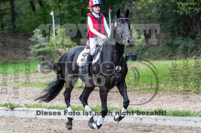 Goldene Schärpe 2020 - Pferde