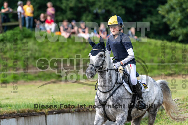 Goldene Schärpe 2021 - Ponys