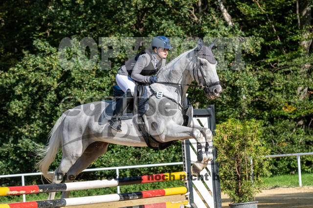 RFV Dinslaken-Hiesfeld (Herbstturnier)