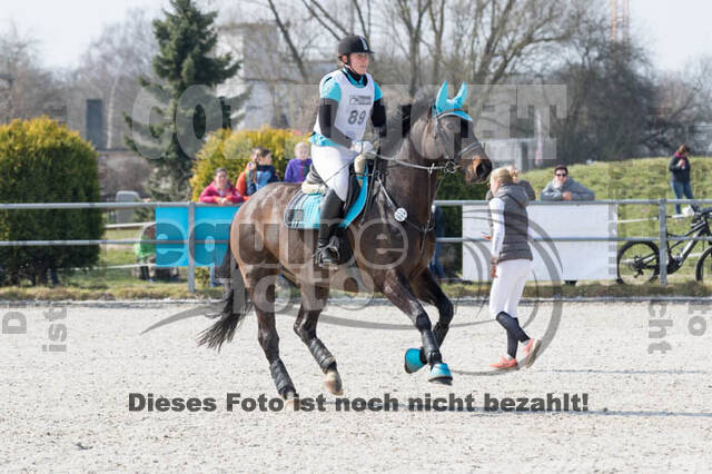 Eventing Langenfeld 2018