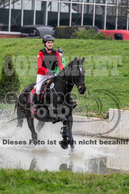 Goldene Schärpe 2020 - Pferde