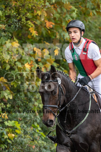 Goldene Schärpe 2020 - Pferde
