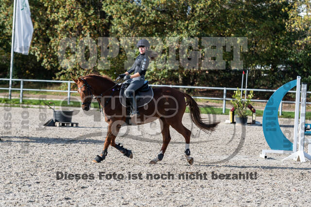 IGV Lehrgang der Sieger der Cups mit Frank Ostholt