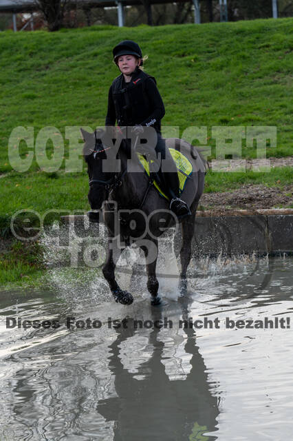 IGV Lehrgang der Sieger der Cups mit Frank Ostholt
