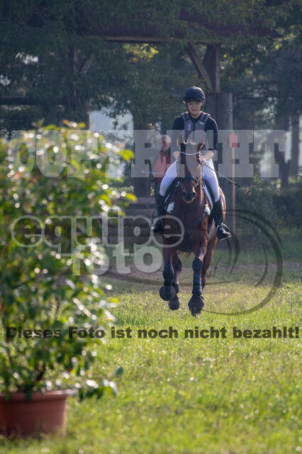 Late-Entry-Vielseitigkeit Gahlen (18.07.2020)