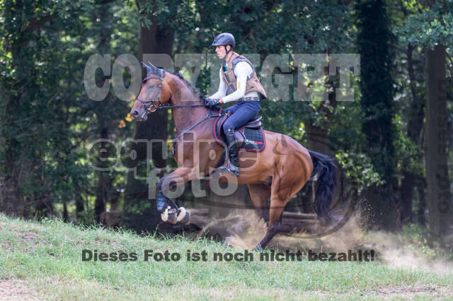 Late-Entry Vielseitigkeit Hamminkeln/Wesel (01.+02.08.2020)