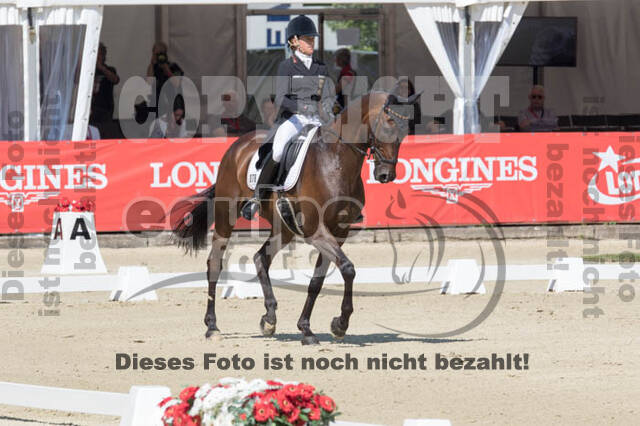 FEI European Championship Eventing 2017