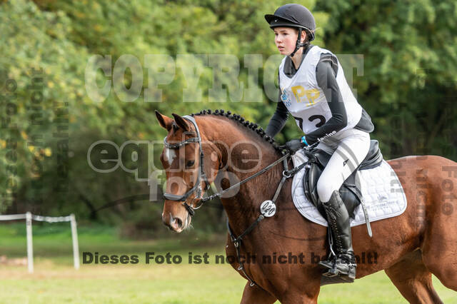 Vielseitigkeit RSV Wesel Obrighoven (26.+27.09.2020)