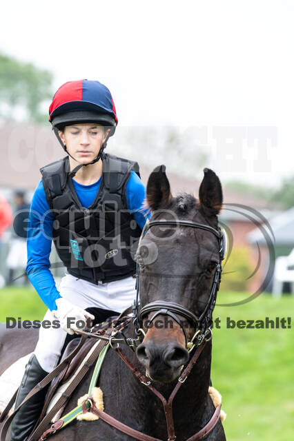 Goldene Schärpe 2020 - Pferde