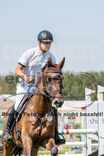 Kronenberg - De Peelbergen (August 2020)