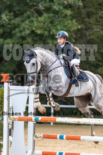 RFV Dinslaken-Hiesfeld (Herbstturnier)