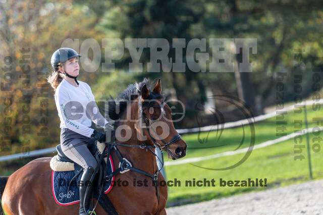 IGV Lehrgang der Sieger der Cups mit Frank Ostholt