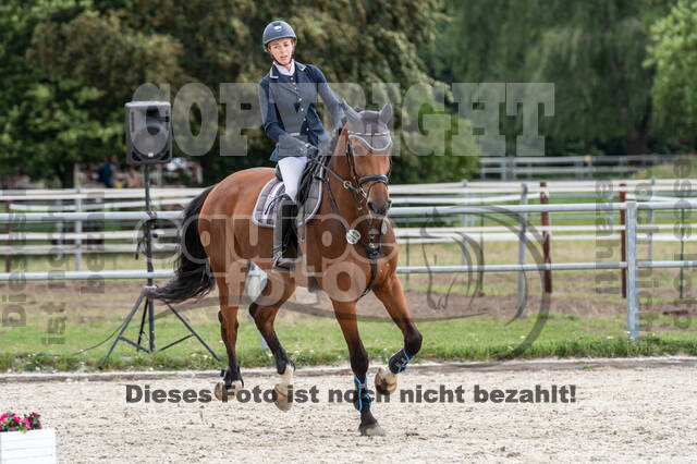 Late-Entry-Vielseitigkeit Langenfeld (06.+07.07.2020)