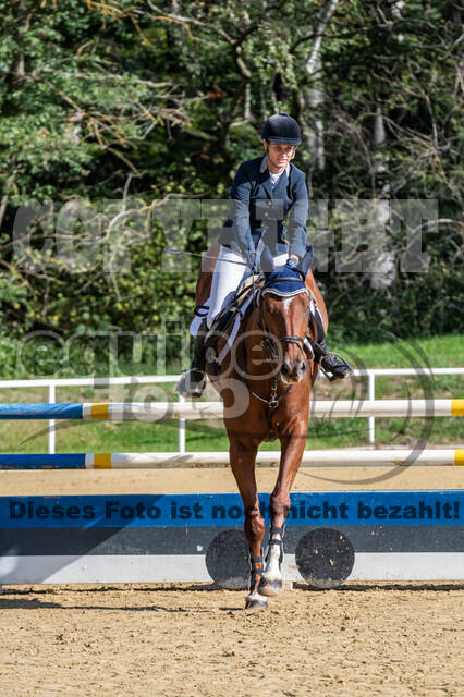 RFV Dinslaken-Hiesfeld (Herbstturnier)