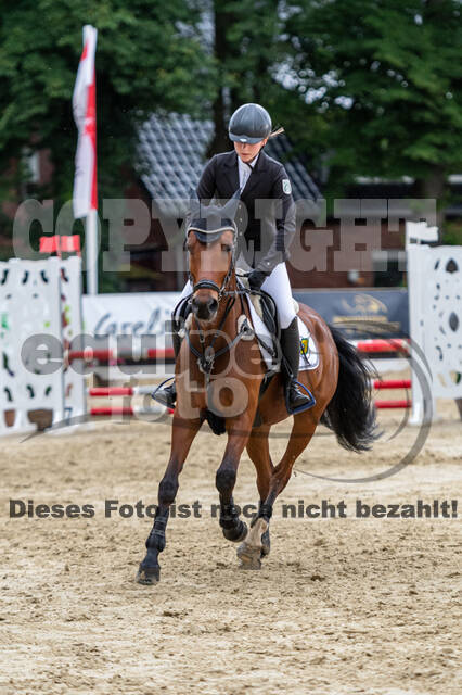 Goldene Schärpe 2021 - Ponys
