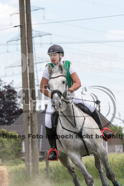 Vielseitigkeitsturnier ZRuFV von Lützow Hamminkeln