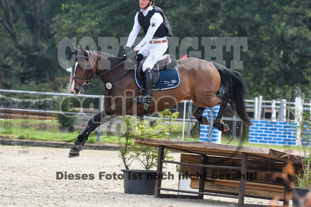 Late-Entry-Vielseitigkeit Langenfeld (11.+13./14.06.2020)