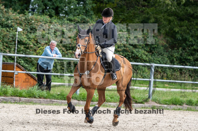 Late-Entry-Vielseitigkeit Langenfeld (06.+07.07.2020)