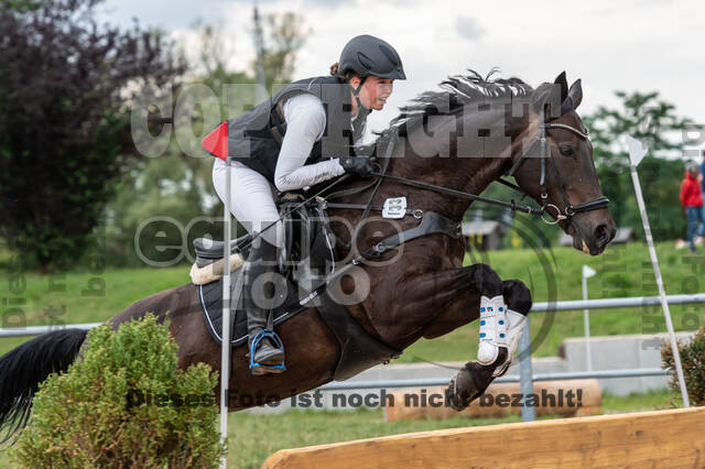 Late-Entry-Vielseitigkeit Langenfeld (06.+07.07.2020)