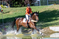 Late-Entry-Vielseitigkeit Langenfeld (11.+13./14.06.2020)