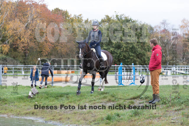 IGV Lehrgang der Sieger der Cups mit Frank Ostholt