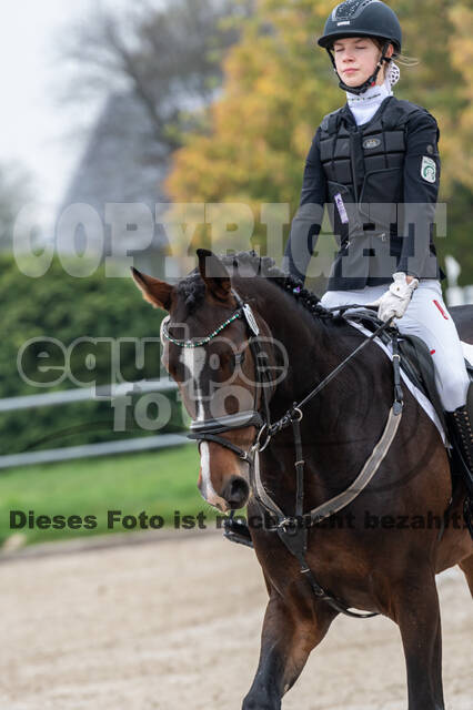 Goldene Schärpe 2020 - Pferde