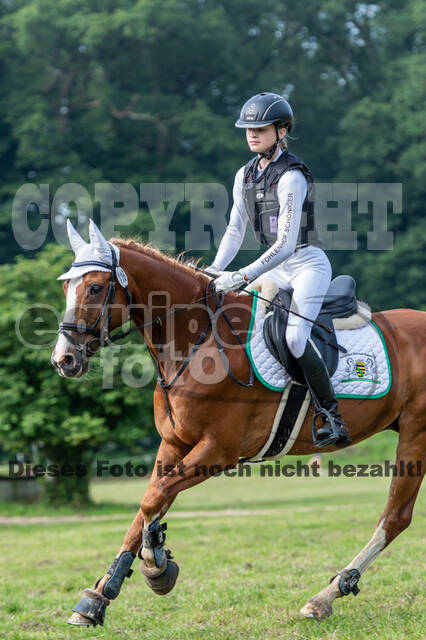 Goldene Schärpe 2021 - Ponys