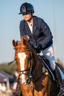 De Peelbergen (August 2020)
