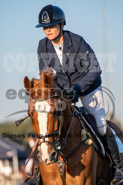 De Peelbergen (August 2020)
