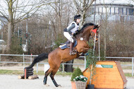 Eventing Langenfeld 2018