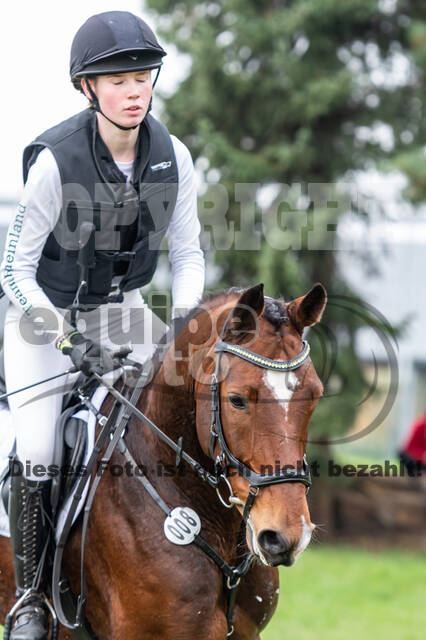 Goldene Schärpe 2020 - Pferde