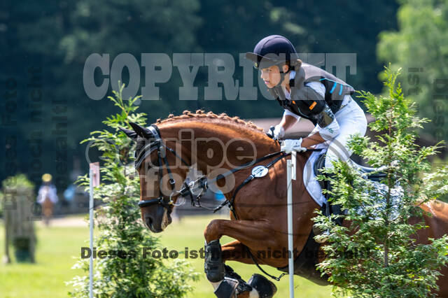 Goldene Schärpe 2021 - Ponys