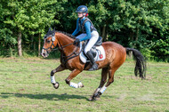 Goldene Schärpe 2021 - Ponys