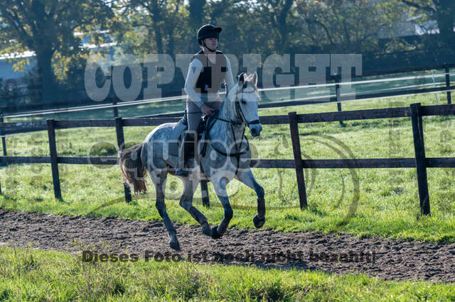 Vielseitigkeitslehrgang mit Jürg Kurbel (9.+10.11.2019)