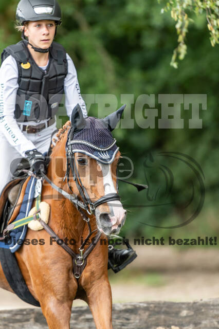 Late-Entry-Vielseitigkeit Langenfeld (06.+07.07.2020)