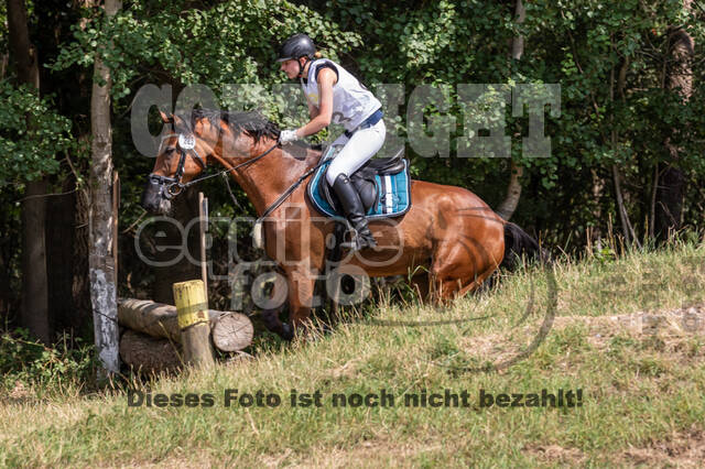 Late-Entry Vielseitigkeit Hamminkeln/Wesel (01.+02.08.2020)