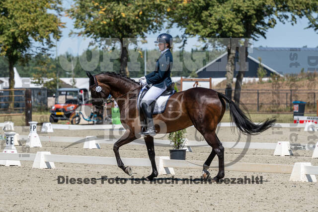 Kronenberg - De Peelbergen (August 2020)