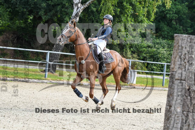Late-Entry-Vielseitigkeit Langenfeld (11.+13./14.06.2020)