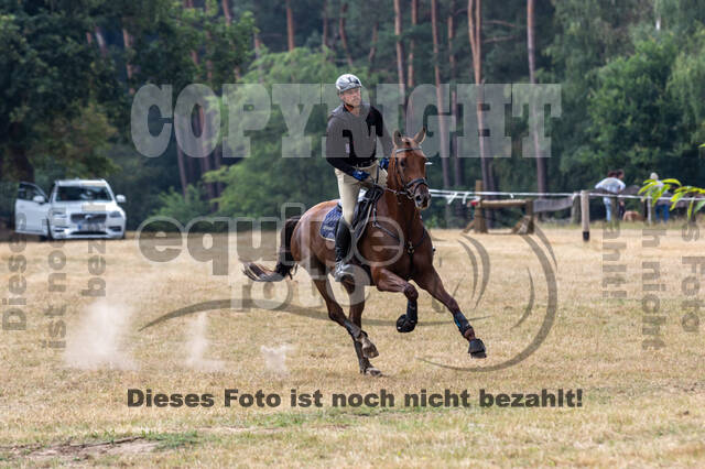 Late-Entry Vielseitigkeit Hamminkeln/Wesel (01.+02.08.2020)