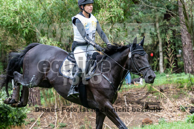 Vielseitigkeit RSV Wesel Obrighoven (26.+27.09.2020)