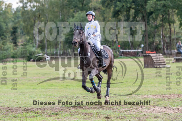 Vielseitigkeit RSV Wesel Obrighoven (26.+27.09.2020)