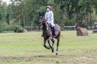 Vielseitigkeit RSV Wesel Obrighoven (26.+27.09.2020)
