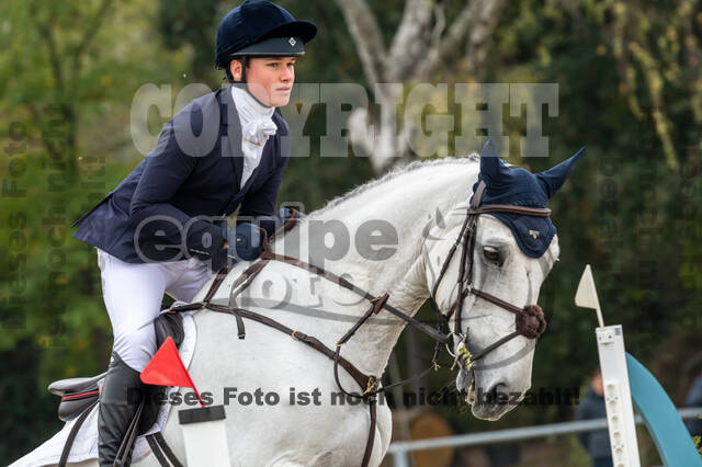 Goldene Schärpe 2020 - Pferde