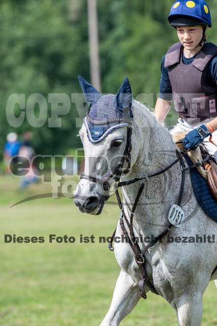 Goldene Schärpe 2021 - Ponys