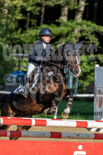 RFV Dinslaken-Hiesfeld (Herbstturnier)