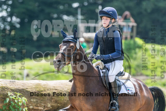 Goldene Schärpe 2021 - Ponys