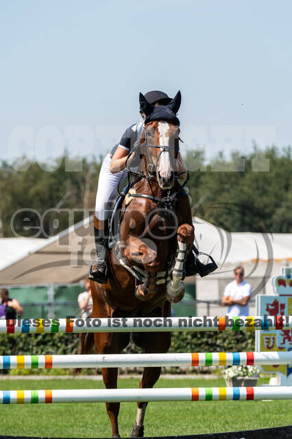 Kronenberg - De Peelbergen (August 2020)