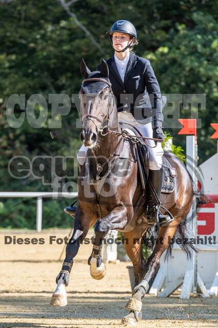 RFV Dinslaken-Hiesfeld (Herbstturnier)