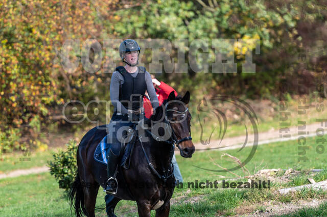 IGV Lehrgang der Sieger der Cups mit Frank Ostholt