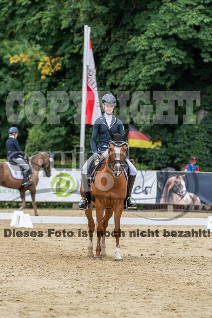 Goldene Schärpe 2021 - Ponys